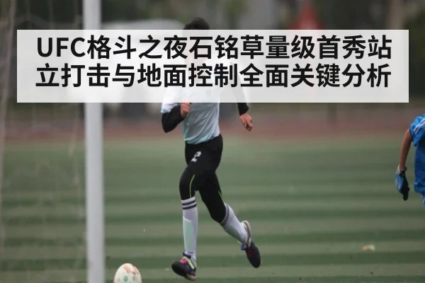 UFC格斗之夜石铭草量级首秀站立打击与地面控制全面关键分析